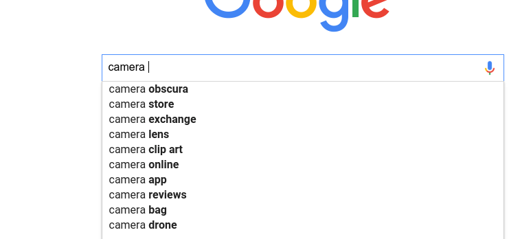 google-suggest-camera.png