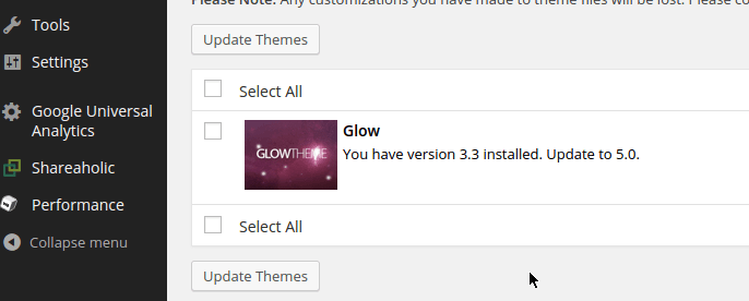 wordpress-update-custom-theme.png