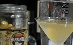 down dirty and dry martini cocktail