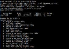 running fdisk on linux