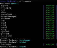 rc-status output in gentoo