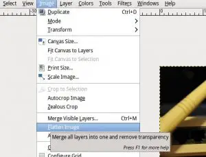 Dialog Window to Flatten Image in GIMP