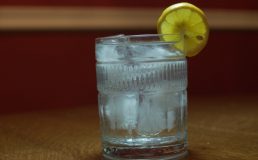 Gin and Tonic Cocktail with Lemon Wedge
