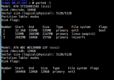 file system type using parted in linux