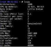 lscpu command output in linux