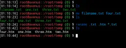 rename files in linux